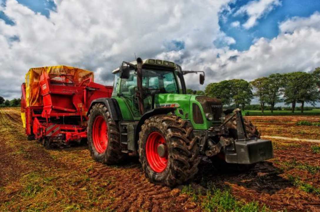 Sectors-Agriculture